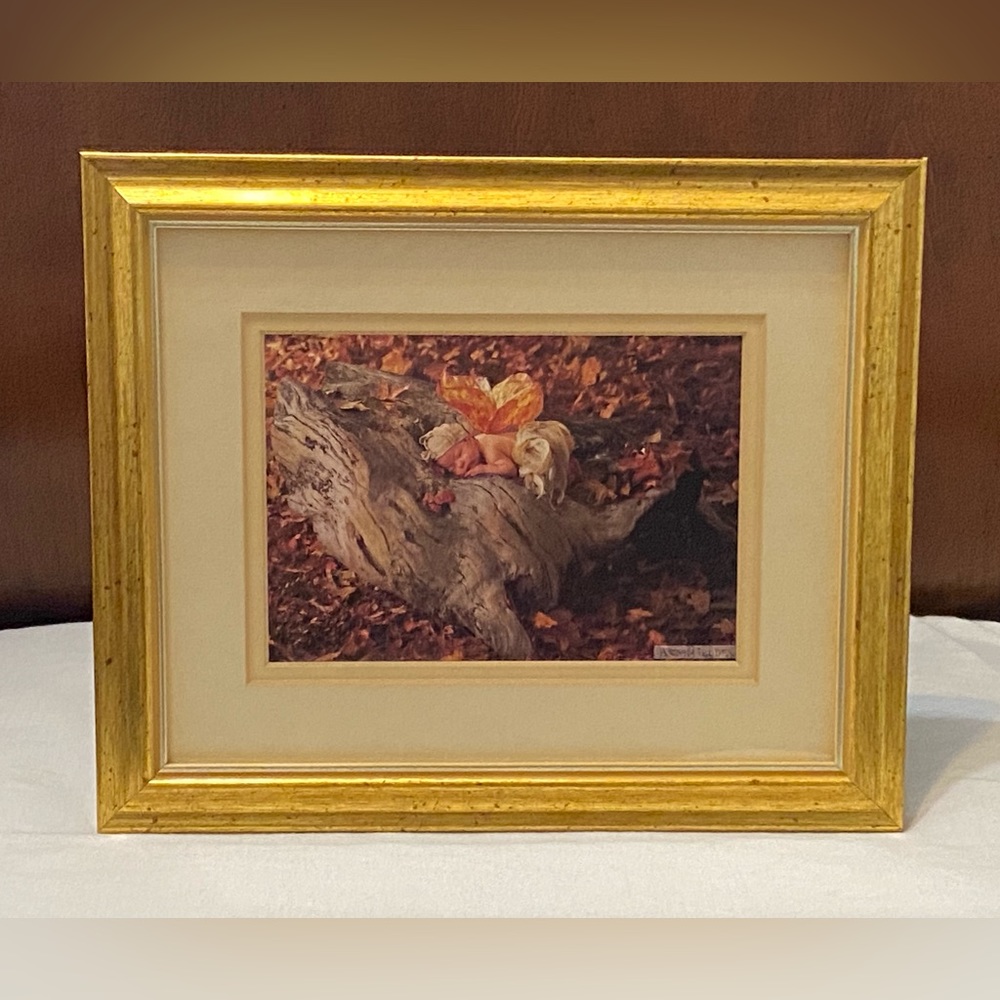 Vintage Anne Geddes Print Woodland Fairy Wall Art
